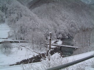  Image name: DSCF3852.JPG 
 width: 320 pixel 
 height: 240 pixel 
 Size: 25235 bytes 
 Click to enlarge 